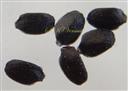  Seeds